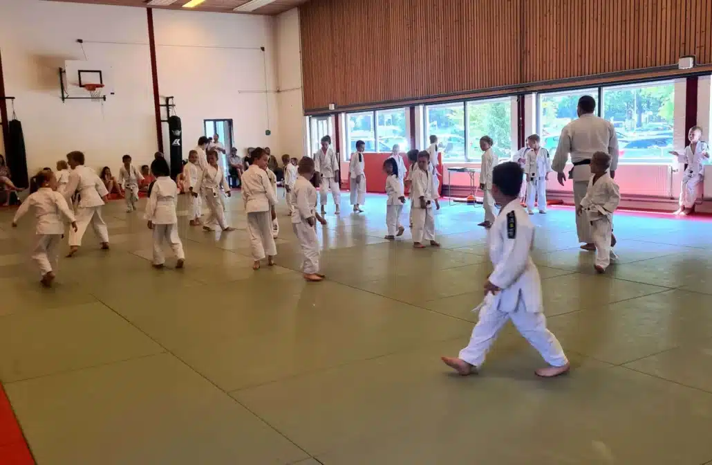 Spelende_judo_kinderen