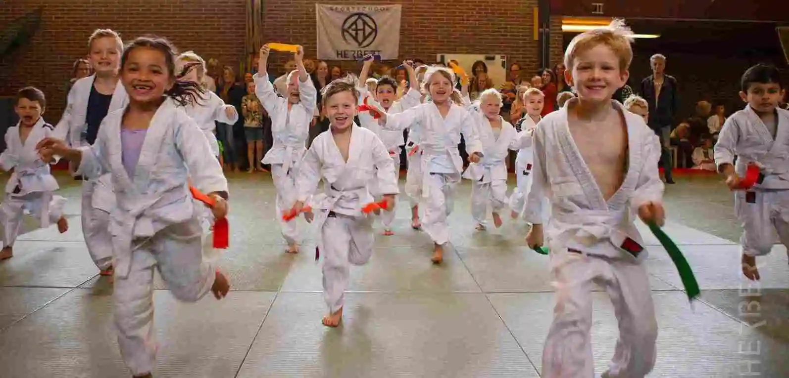 Kinderen die Tuimel Judo beoefenen in Ede bij Sportschool Herbert