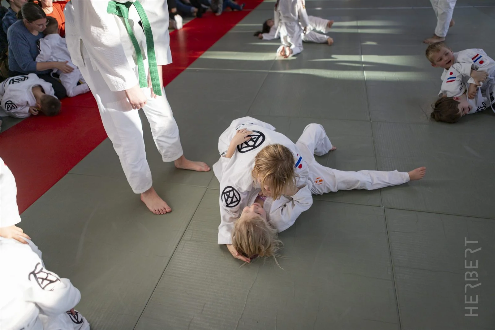 concept tuimeljudo intro