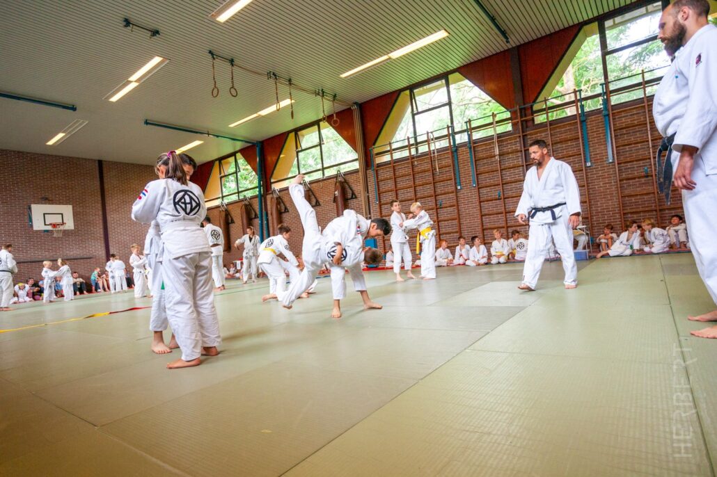 De groene band in judo: eisen, betekenis en tips 1 De groene band in judo: eisen, betekenis en tips – Sportschool Herbert Ede