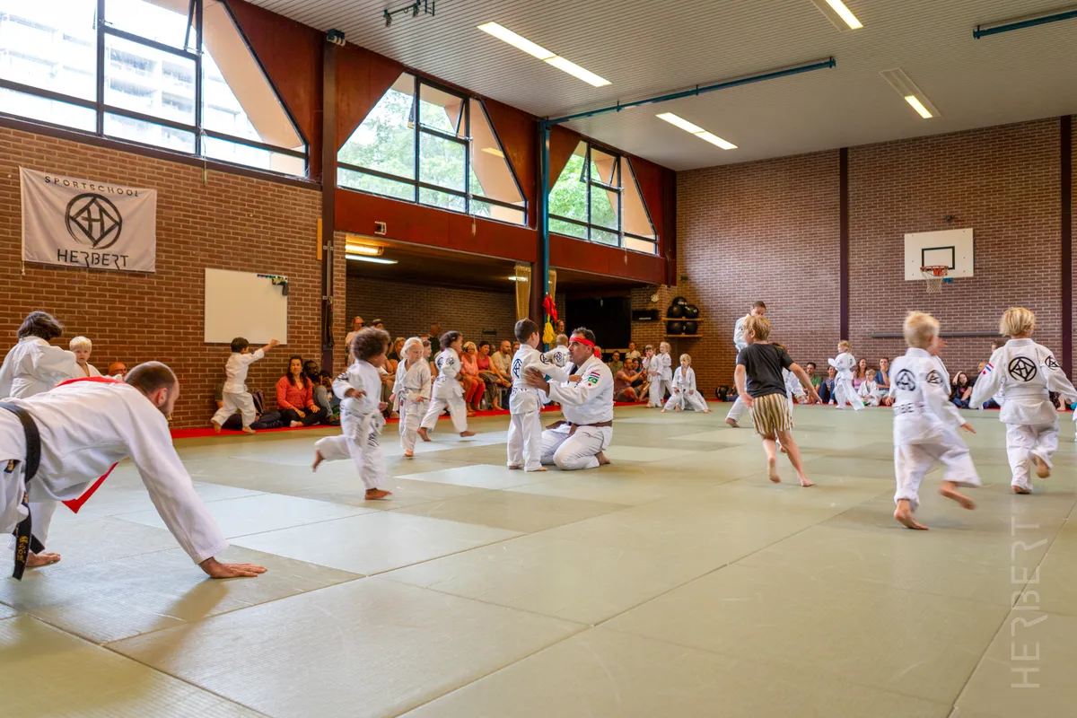 Tuimel Judo 8 Tuimeljudo voor peuters en kleuters in Ede bij Sportschool Herbert