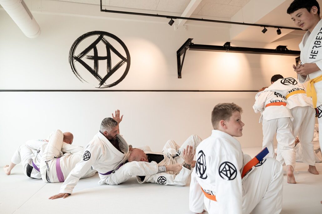 Wat is MMA? (en waarom judo, BJJ en boksen de beste basis zijn) 8 Wat is MMA (en waarom judo, BJJ en boksen de beste basis zijn) – Sportschool Herbert Ede